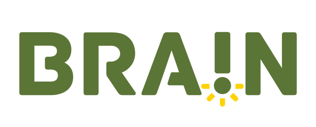 Brain Inteligência Estratégica